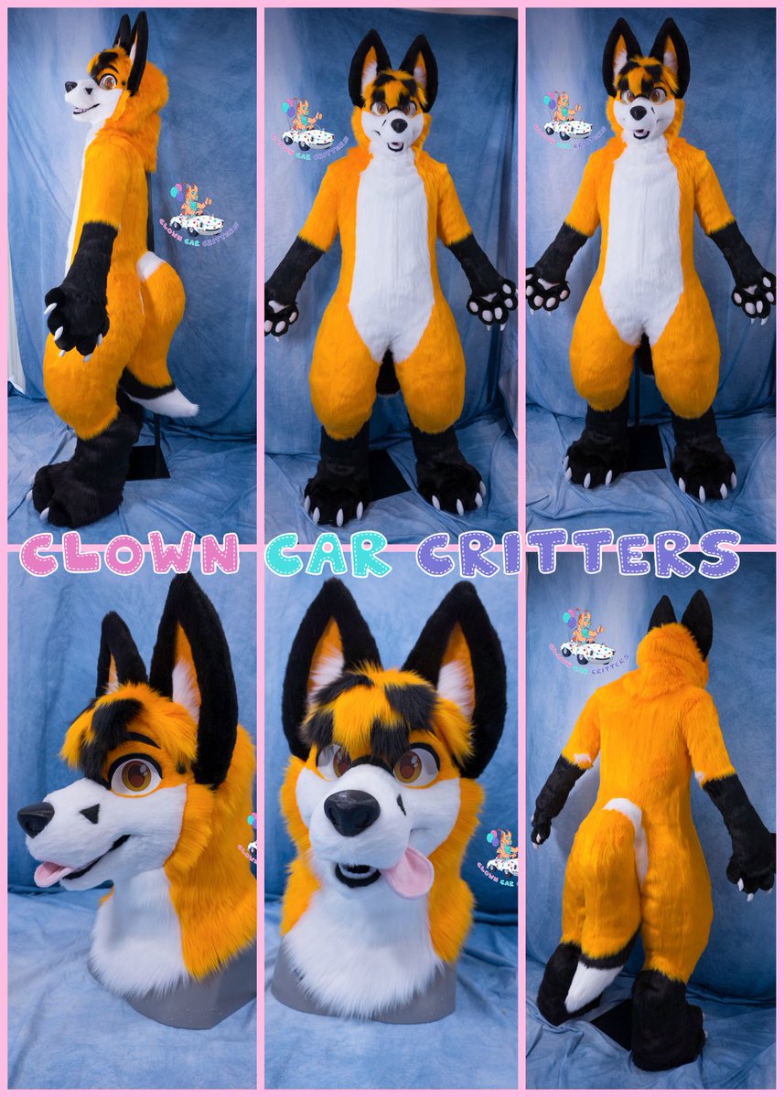 ClownCarCritter's tweet photo. 🎪 Introducing Andy the Fox! 🎪

❤️&amp;🔁 Are Appreciated!

🎟 Commissions are Open! 🎟 
https://t.co/AosmWi5JaP

#fursuitmaker #furryfandom #commissionsopen #ClownCarCritters 
#furry #fursuit https://t.co/804qJOYjap