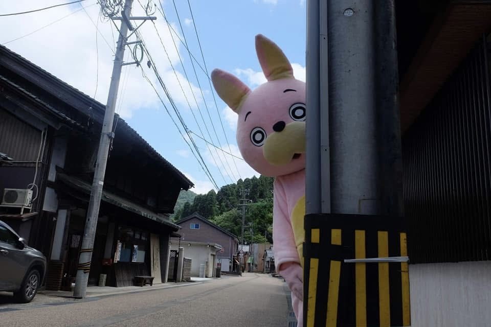 momoiro_usahi's tweet photo. よっす、どもっす https://t.co/kp4WP87QMz