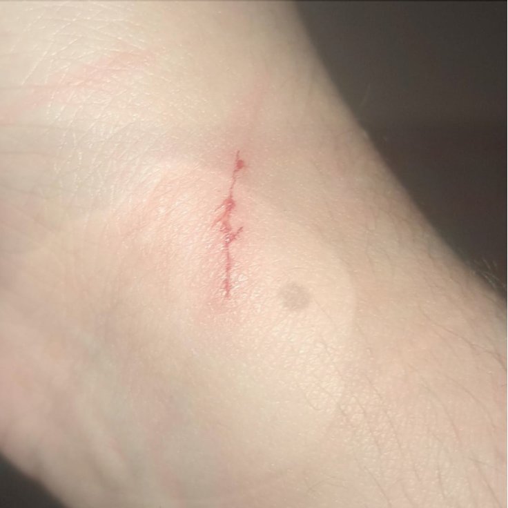 Itz_Nicotin3's tweet photo. Someday my cat is gonna kill me #cutspo #catt #idk https://t.co/tTUA9BDbvP