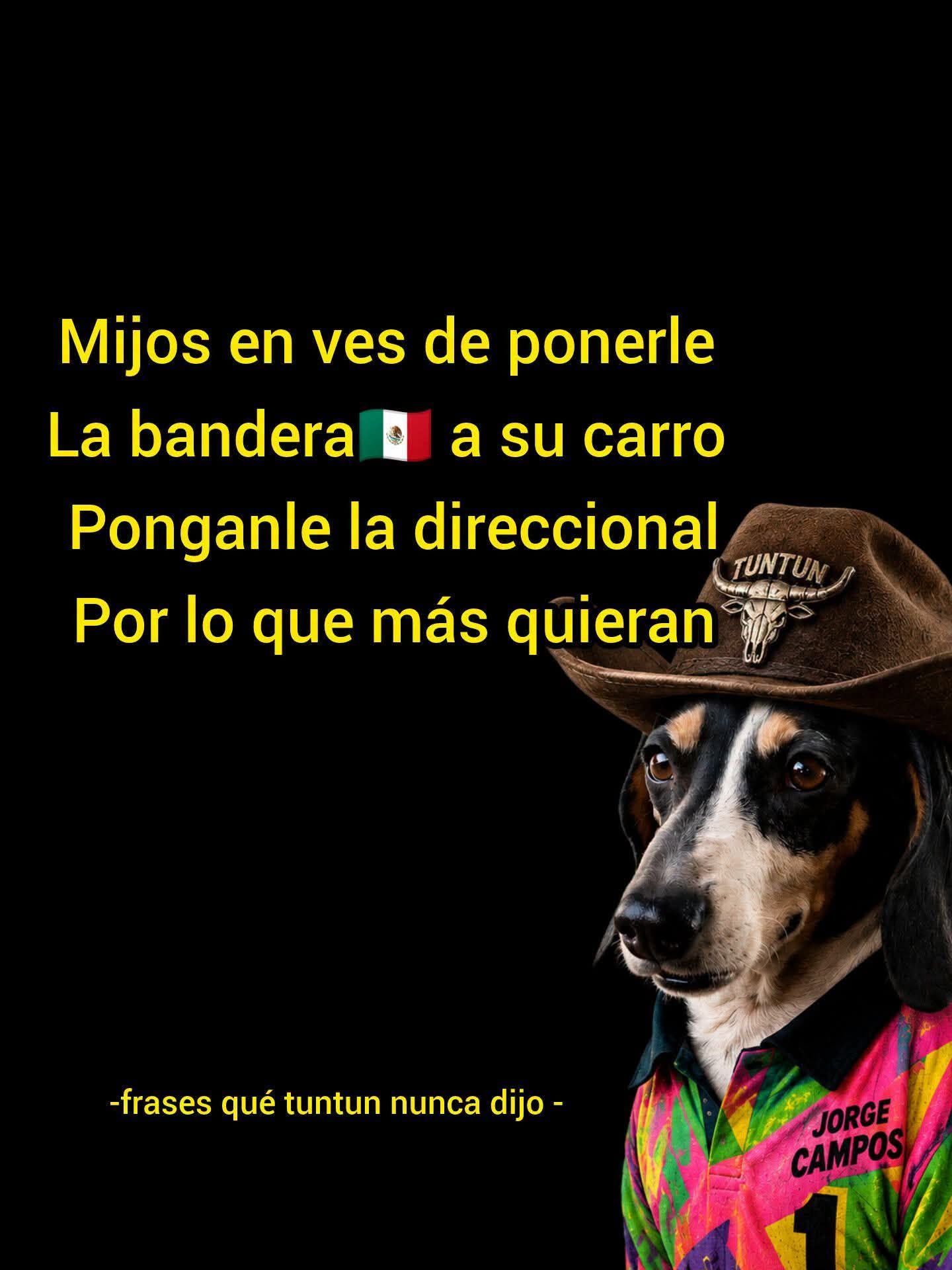 Por lo que más quieras https://t.co/GNCIyngCfg