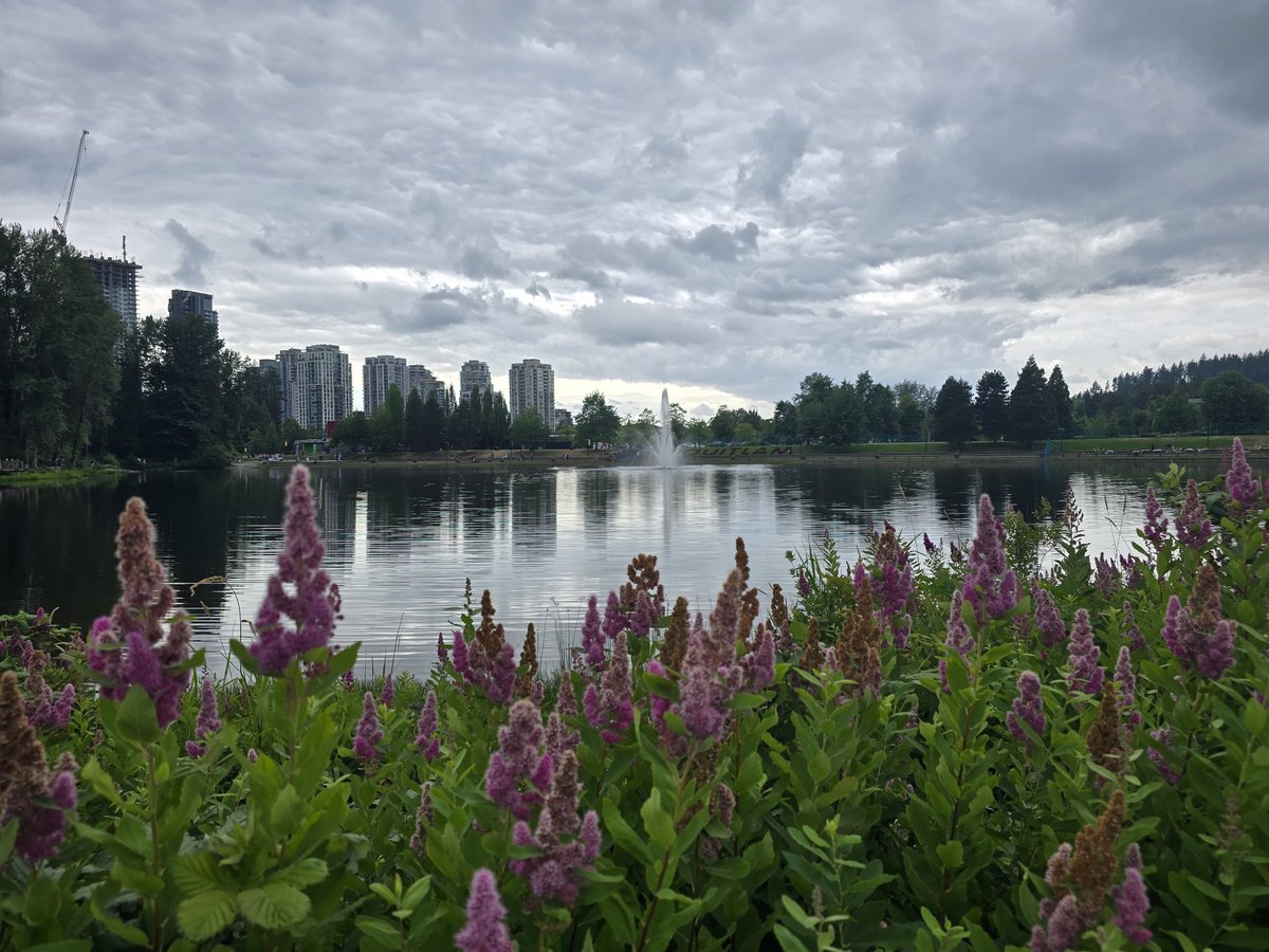 Brad604's tweet photo. Happy Canada Day from here on the West Coast. Mother Nature giving us well below average temperatures today and a slim chance of rain showers. Temperatures struggling to come close to 20°C today in Vancouver. 18°C (64°F) at 350pm here in Coquitlam. #shareyourweather #bcstorm https://t.co/lCDr0dHN3k