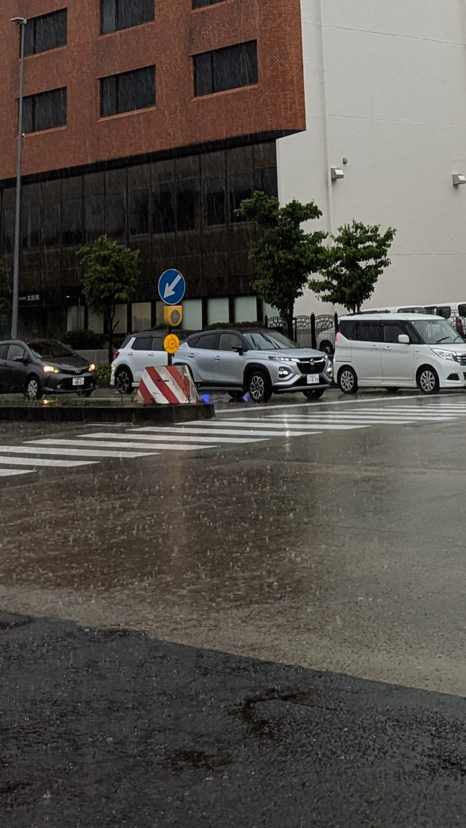 EnfStardust's tweet photo. 台風や夕立ち以外の
普通な土砂降りは、
かなりのご無沙汰かもしれない。

自宅の網戸では
ホソヘリカメムシが
避難していました。

おはようございます☔ https://t.co/wbGrM1wppS