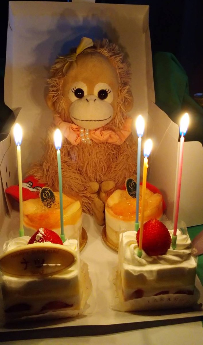 coconastu1's tweet photo. 全国のナツっちゃん、誕生日おめでとう🎉🎂

なんか教祖さまみたいな写真（何年か前の写真🐵🌸）

#ベイビーココ https://t.co/iy2JihJ4Au