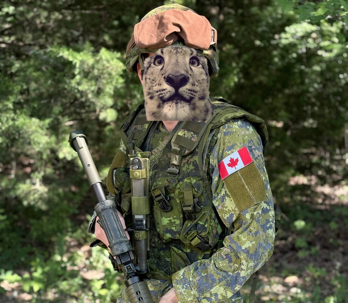 Bill_The_Fox's tweet photo. Happy #CanadaDay to all my maple syrup friends!!!! Hope you all have a great day!!! https://t.co/8yG2e2f6bK
