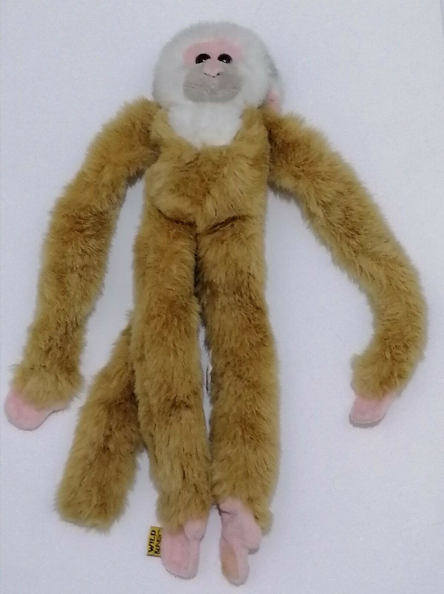 jenkaysa's tweet photo. Wild and Cuddly, why not Check out Wild Republic Monkey  #wildrepublicmonkey https://t.co/nIT1LHAtjv