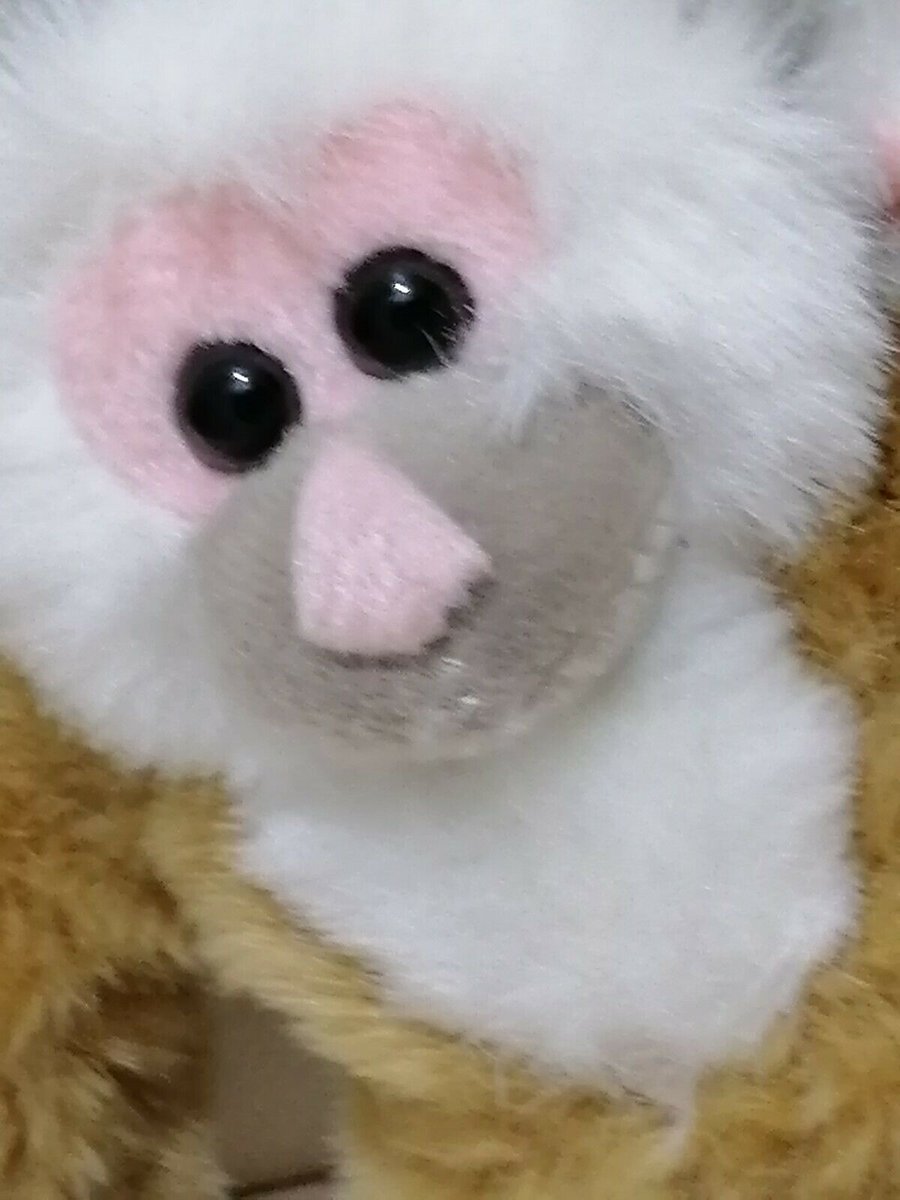 jenkaysa's tweet photo. Wild and Cuddly, why not Check out Wild Republic Monkey  #wildrepublicmonkey https://t.co/nIT1LHAtjv