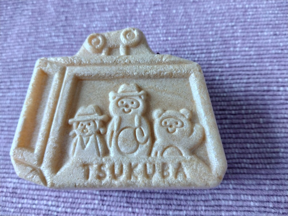 ripayarip's tweet photo. りっぷさん54回目の月命日🐾
今回は、もなかだよ
自分であんこを入れるんだって
りっぷさんも上手に作れるかな?
箱がつくば山のロープウェイになってて可愛い♡
帰りはコレに乗って帰ってね😂

＃トイプードル
＃月命日 https://t.co/OaAIeTYFYw
