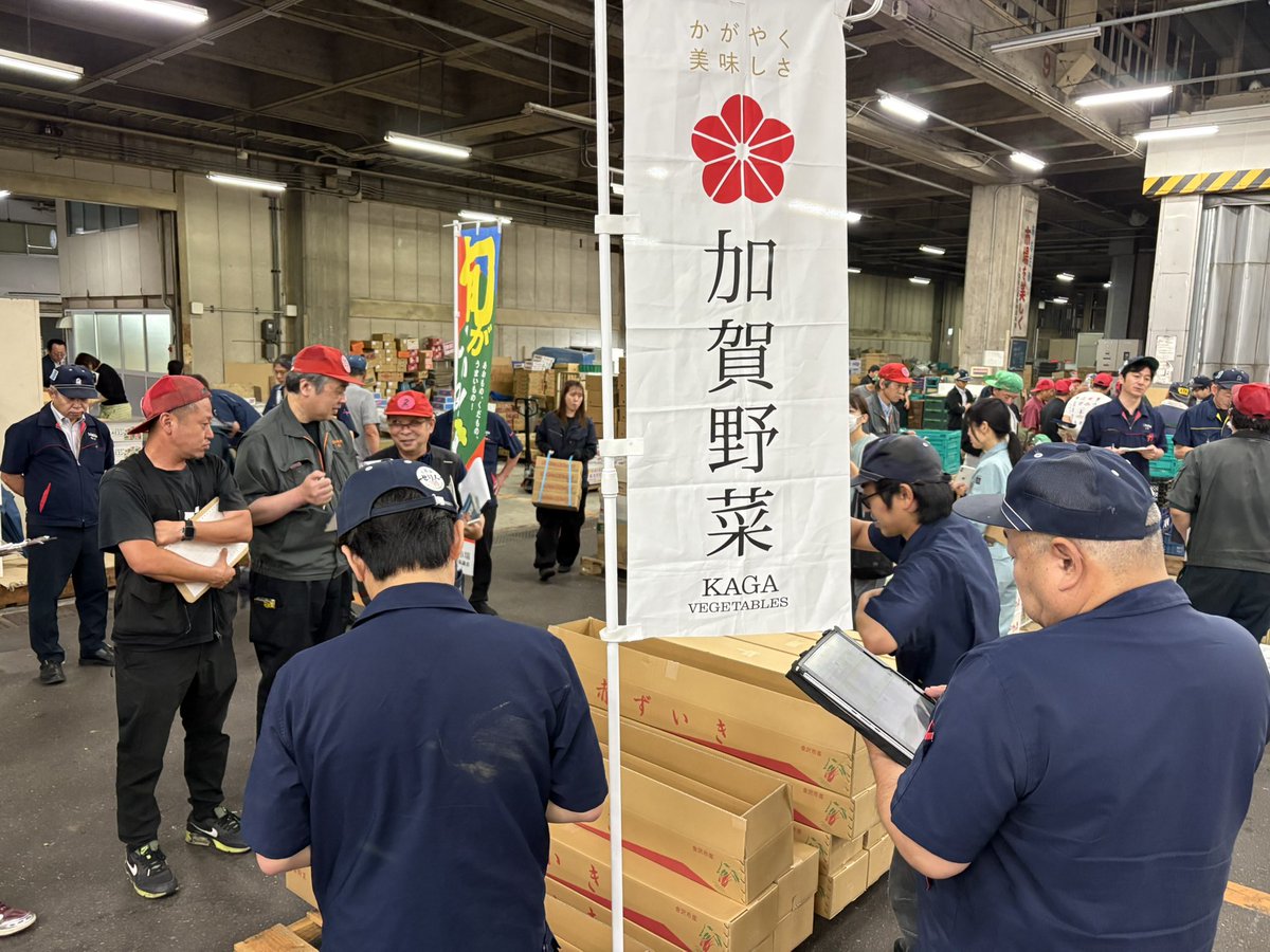 金沢市中央卸売市場からお届け！ 本日、加賀野菜の赤ずいきの初セリが