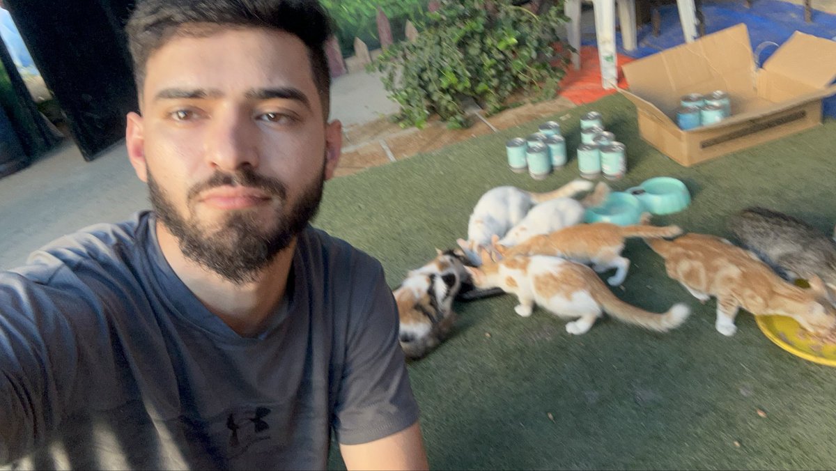 RescueCare's tweet photo. They run to us every time they hear our footsteps, hoping there will be food waiting for them.🐾🥹🫂 In Gaza, these innocent cats and dogs have already lost so much, but they still haven’t lost hope.✨🕊️ Every day we fight to keep their bowls full and their hearts safe, but we can’t do it alone. Please help us keep them alive.🙏❤️🐈🐕🇵🇸
PayPal: https://t.co/Lzv7nazr6v
GoFundMe: https://t.co/MKk58SRPaQ
Every donation saves lives. Every RT gives them hope.❤️#Gaza #AnimalRescue #Cats #Dogs #Donate #VoicelessSouls