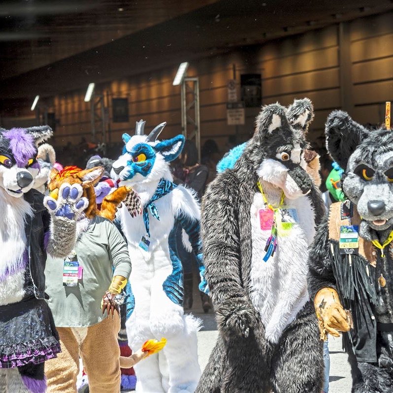 Purplaxo's tweet photo. ⚠️ BREAKING: Furries will attend Anthrocon this year. At least 12 are confirmed to be there. https://t.co/QFOAu3chSK