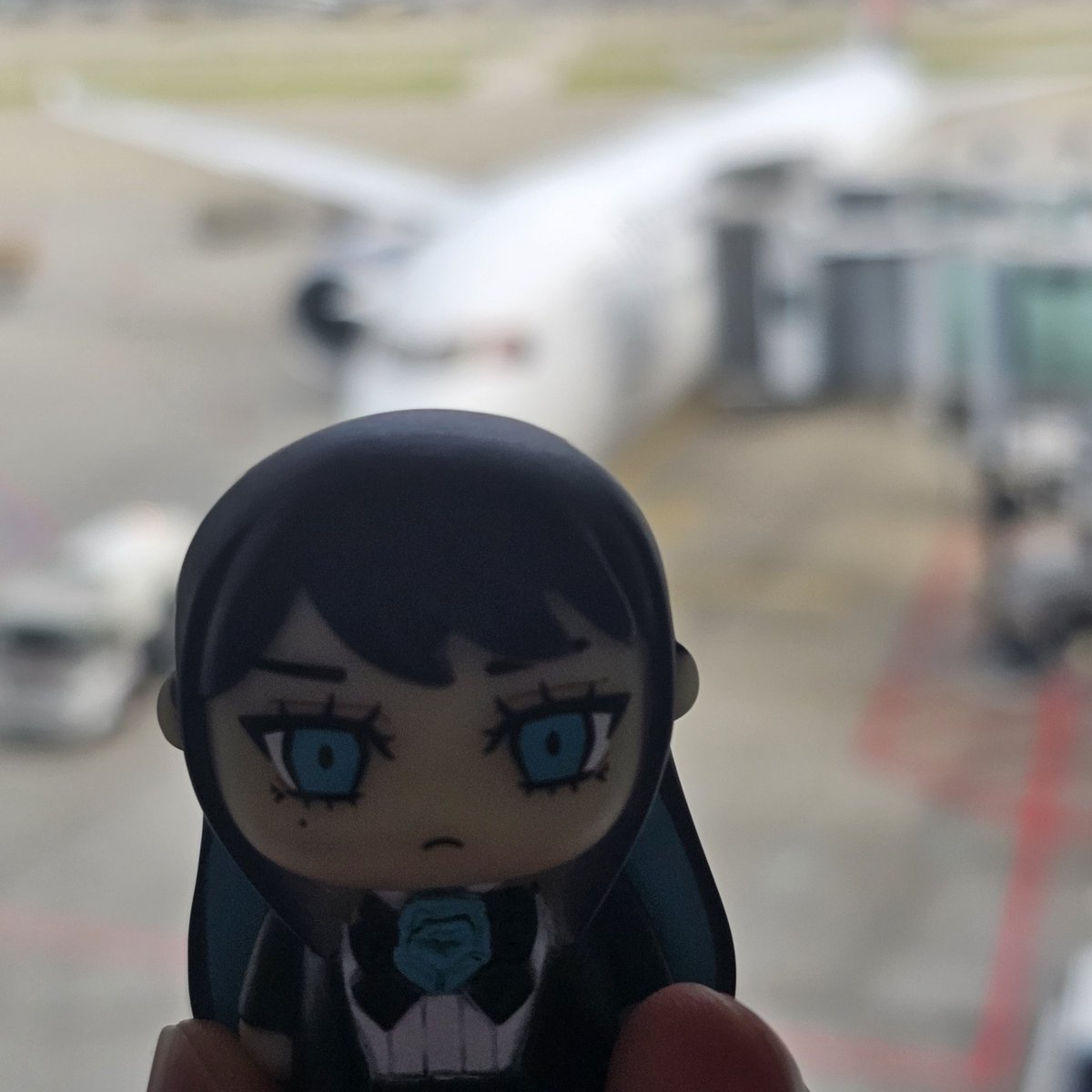 no22star's tweet photo. 出発準備中 とても楽しみだ! https://t.co/RZljdgiELj