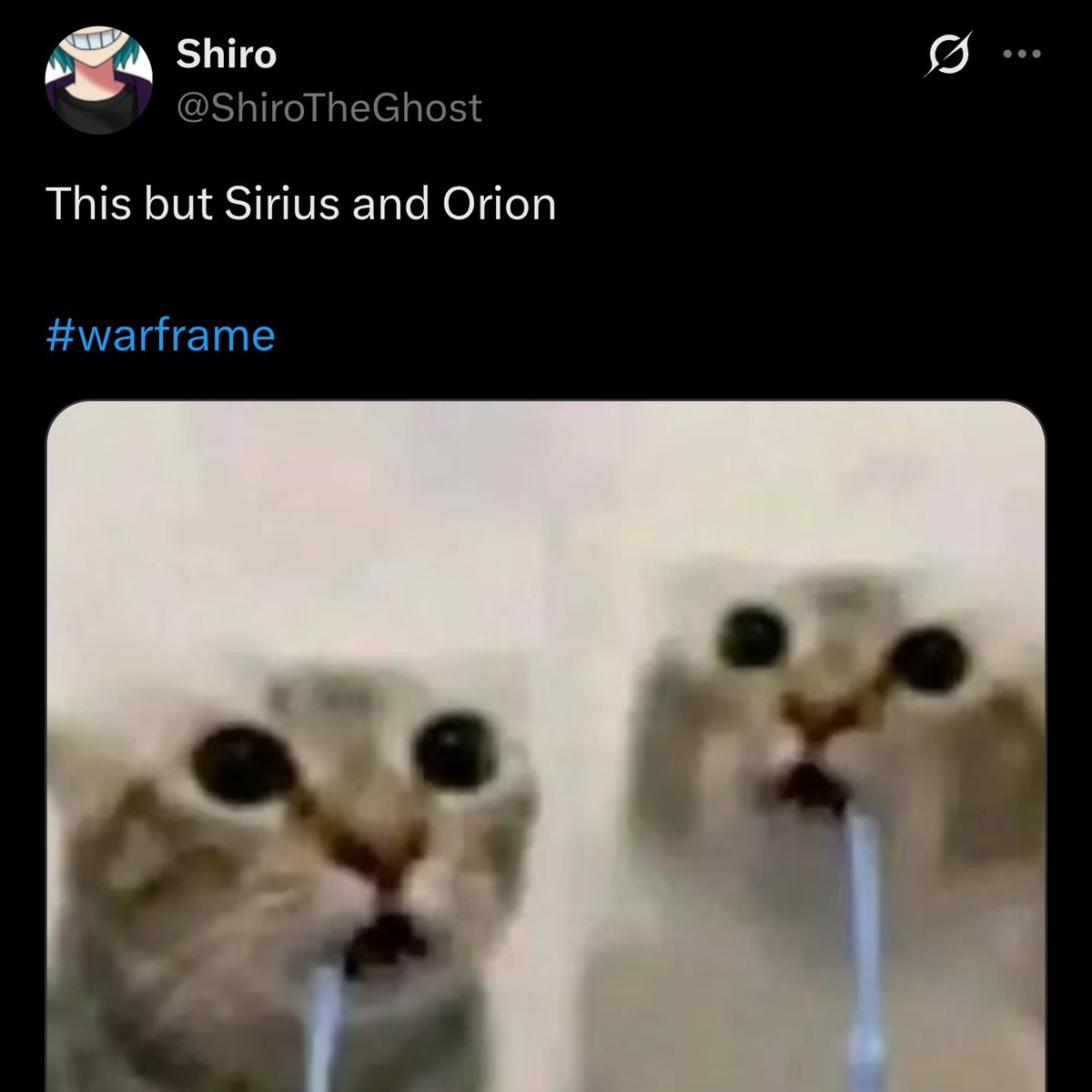 Shiro tweet media
