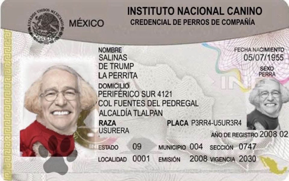 RodrigoMarz's tweet photo. @RicardoBSalinas Mejor este… https://t.co/0wxhTixCKm
