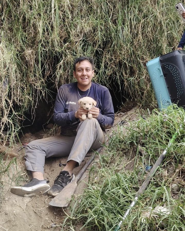 Unidad de Bienestar Animal Quito tweet media