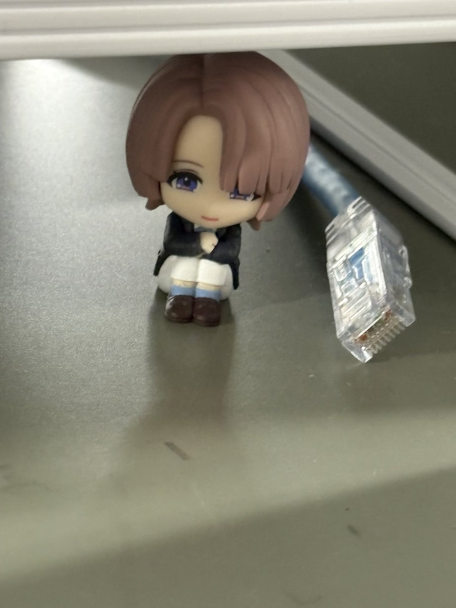 itosu_game's tweet photo. 職場の癒しになってください https://t.co/iRpKushpeI