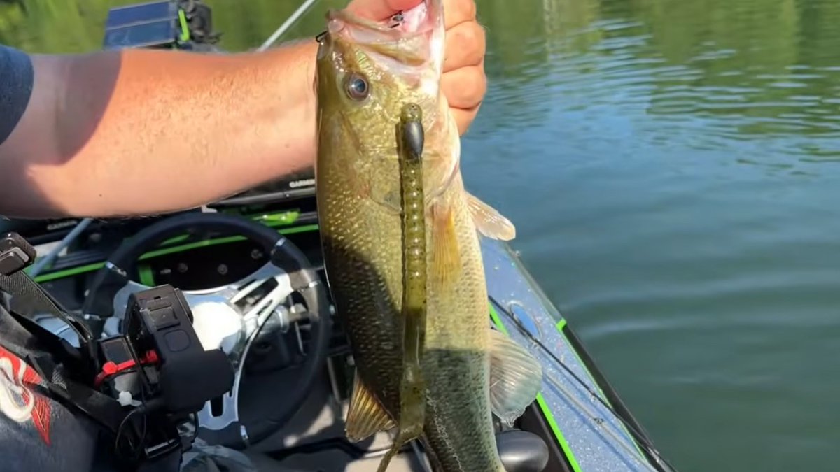 BassGeekFishing's tweet photo. Are you choosing the right BIG worm for the job?
Watch Here👉https://t.co/sr4KJLnJ5y
#bassfishing #fishing #largemouthbassfishing #bigwormfishing #texasrig #ledgefishing #fishingtips #bassgeek https://t.co/fDWFvF4Ik9