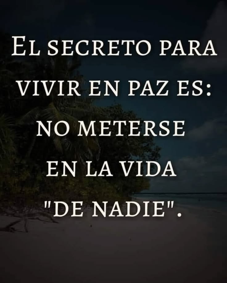 Arseniomgar7902's tweet photo. Simple 👌 https://t.co/yZb1mHsDYT
