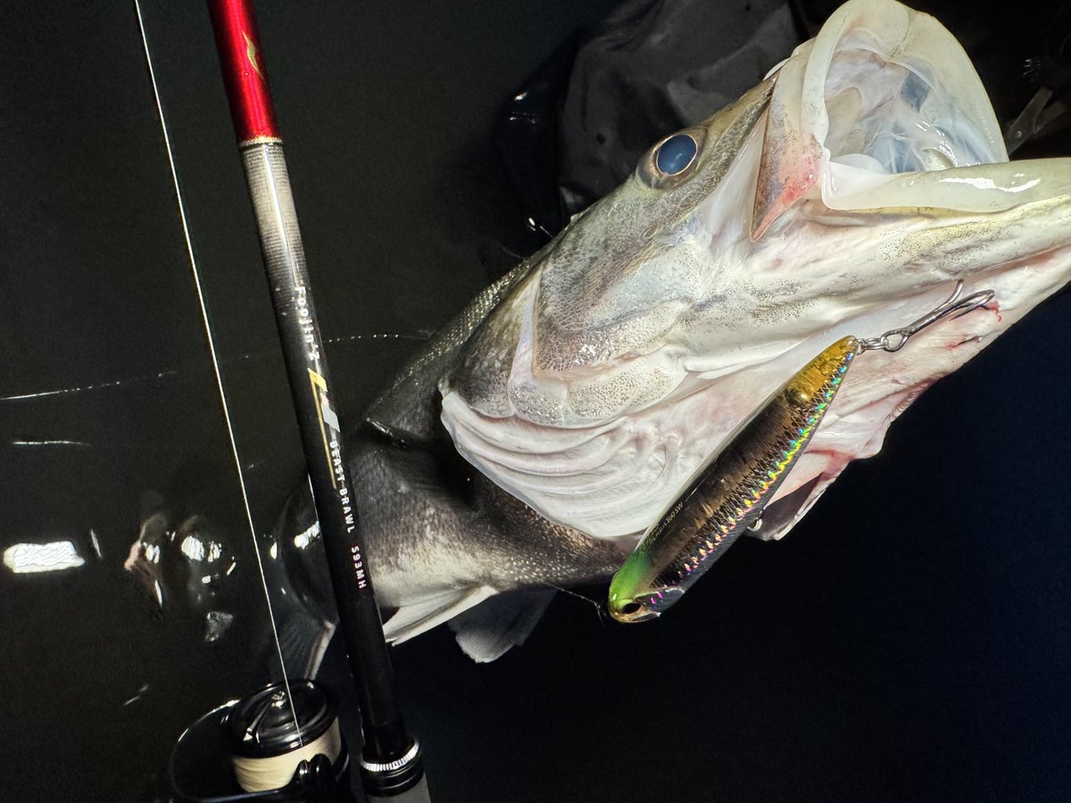 ___Fishing's tweet photo. 最近はレアリスペンシル100で楽しめてます☺️

#DUOinternational
#DUOモニター
#PR
#レアリスペンシル100SW https://t.co/B5mhurSMps