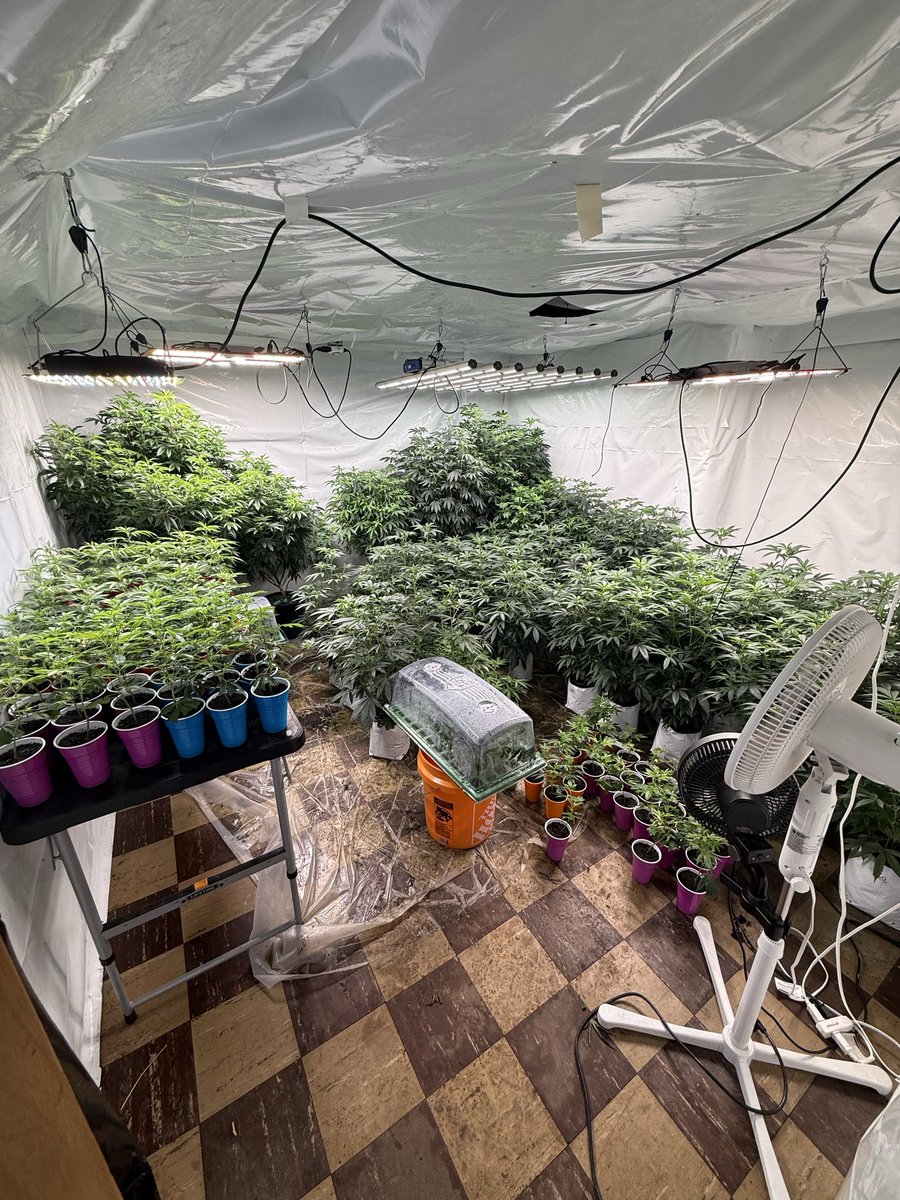 Homestyle_melts's tweet photo. Getting ready for outdoor szn got the veg bussin. https://t.co/a9rfD69vsQ