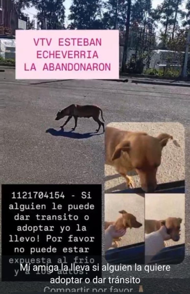 paraellostodo's tweet photo. Esteban Echeverría https://t.co/egjlXO3zsR