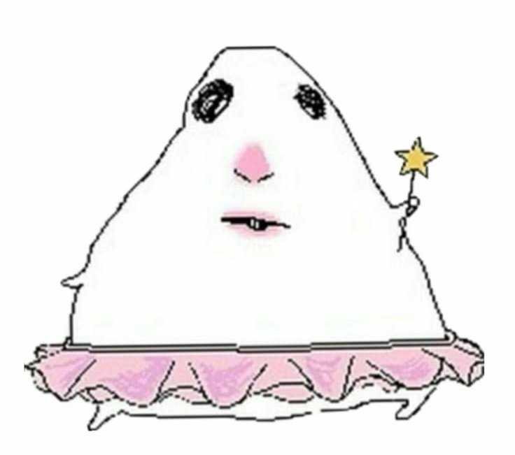 caffin_rabbit's tweet photo. @kimmeow0919 카토는 킨텍스의 요정이야 https://t.co/p3Oxn82m70