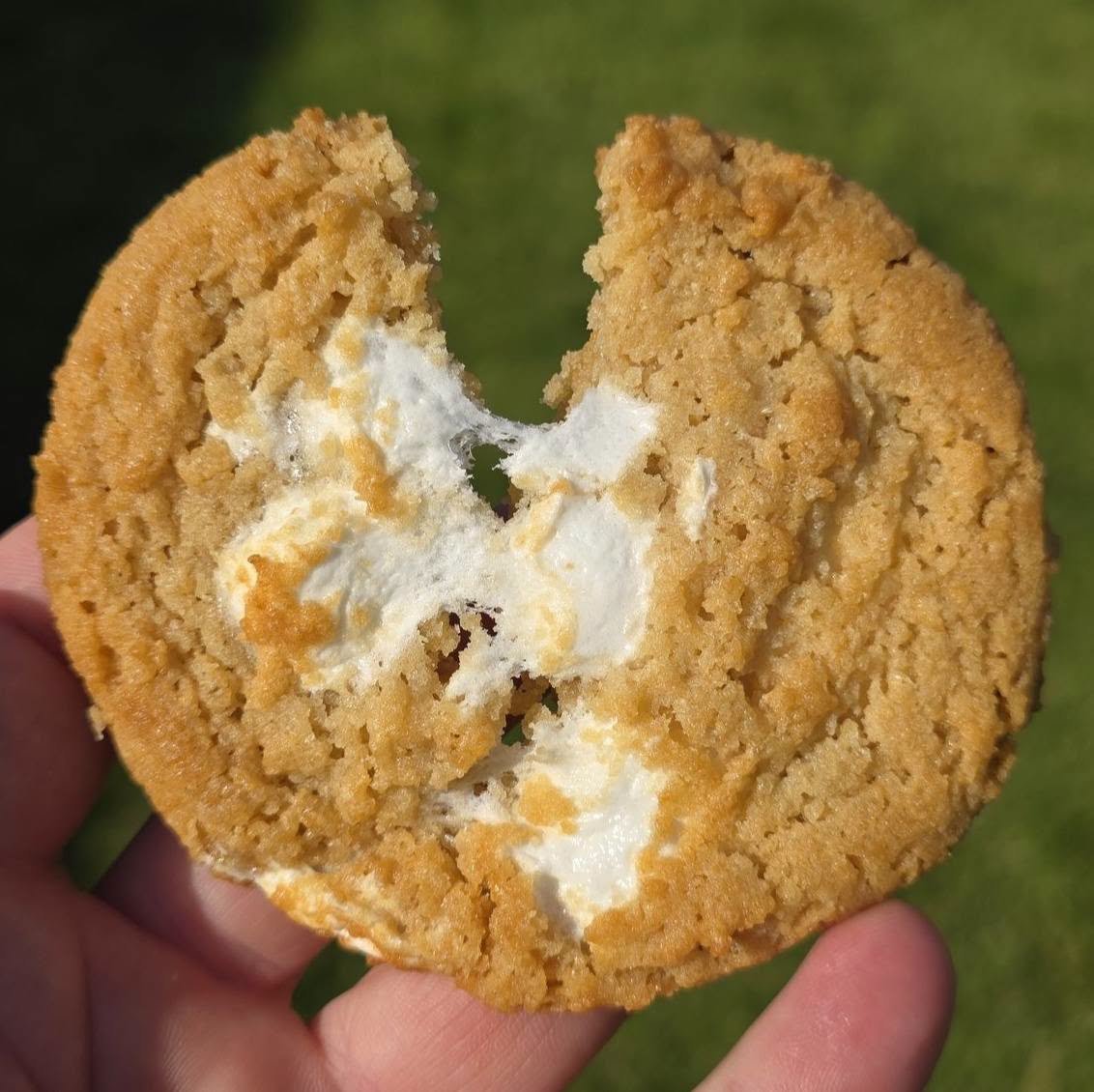 snackolator's tweet photo. Costco has new Rice Krispies Treats COOKIES in their bakery and these are gooey, crispy, and are delicious!

Have you tried them yet?? Definitely a great summer flavor! https://t.co/sSEqYyUQu3