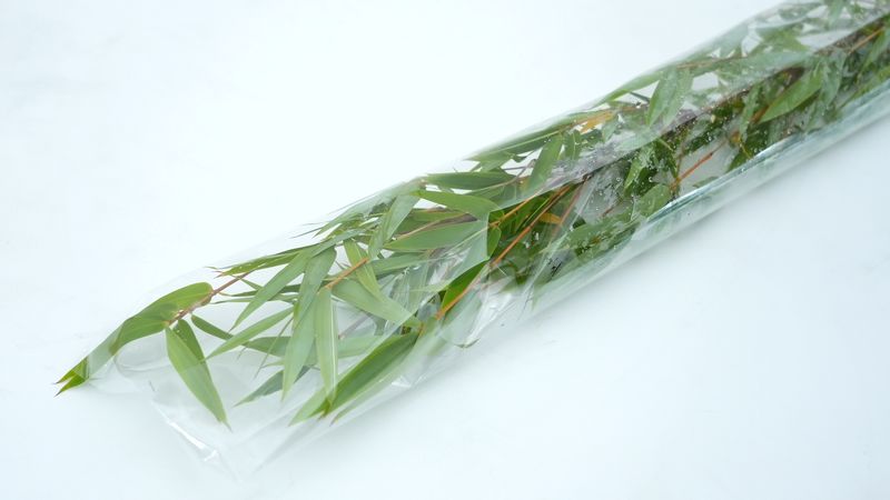 hanalabonote's tweet photo. まいにち切花図鑑🌿
【笹】

そろそろ七夕⭐笹の葉を見かける季節ですね。

お店ではセロファンで巻いて湿度を保っていますが、飾るとすぐにカリカリになってしまいます。そういうものなので仕方なし。

イベントで使う人は、なるべく直前までセロファンで巻いておくとみずみずしい状態が保てます🌿 https://t.co/6B8Dd57Ysr