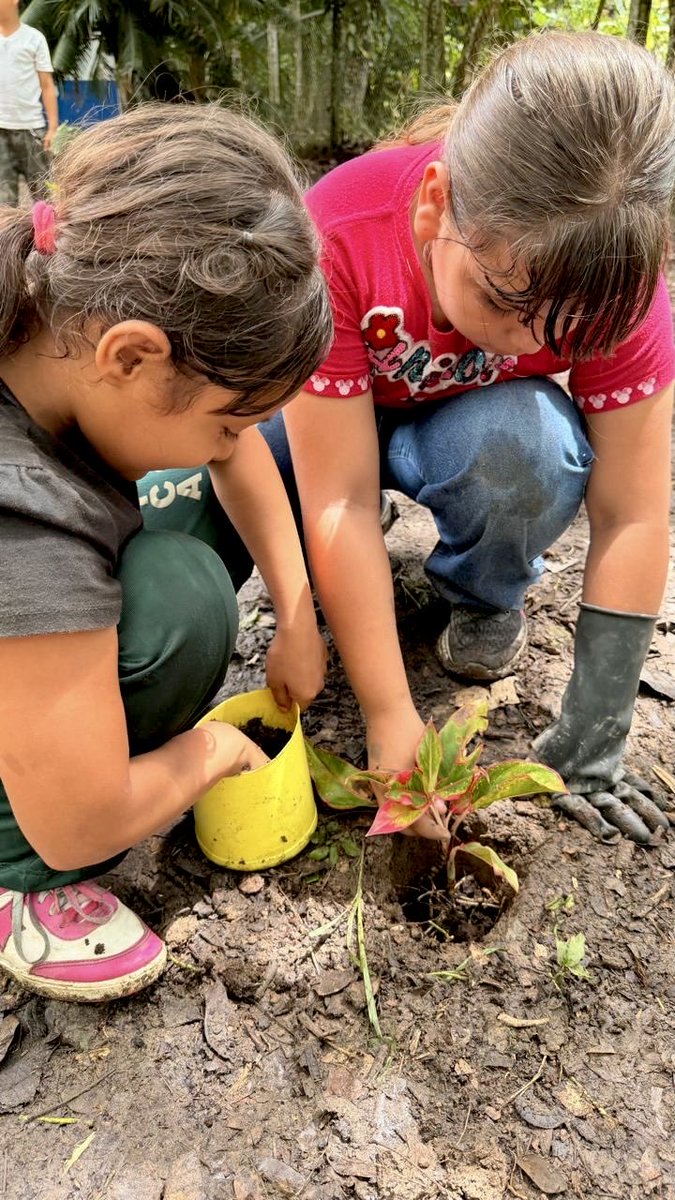 PDACaldas's tweet photo. El Club Defensores del Agua de la Institución Educativa Buenavista, sede San Fernando, en La #Dorada continúa promoviendo la conciencia ambiental a través de la siembra de árboles y acciones que fortalecen el
cuidado de nuestro entorno.
 #AguaParaLaVida @GoberCaldas https://t.co/gKNZKU6zjs