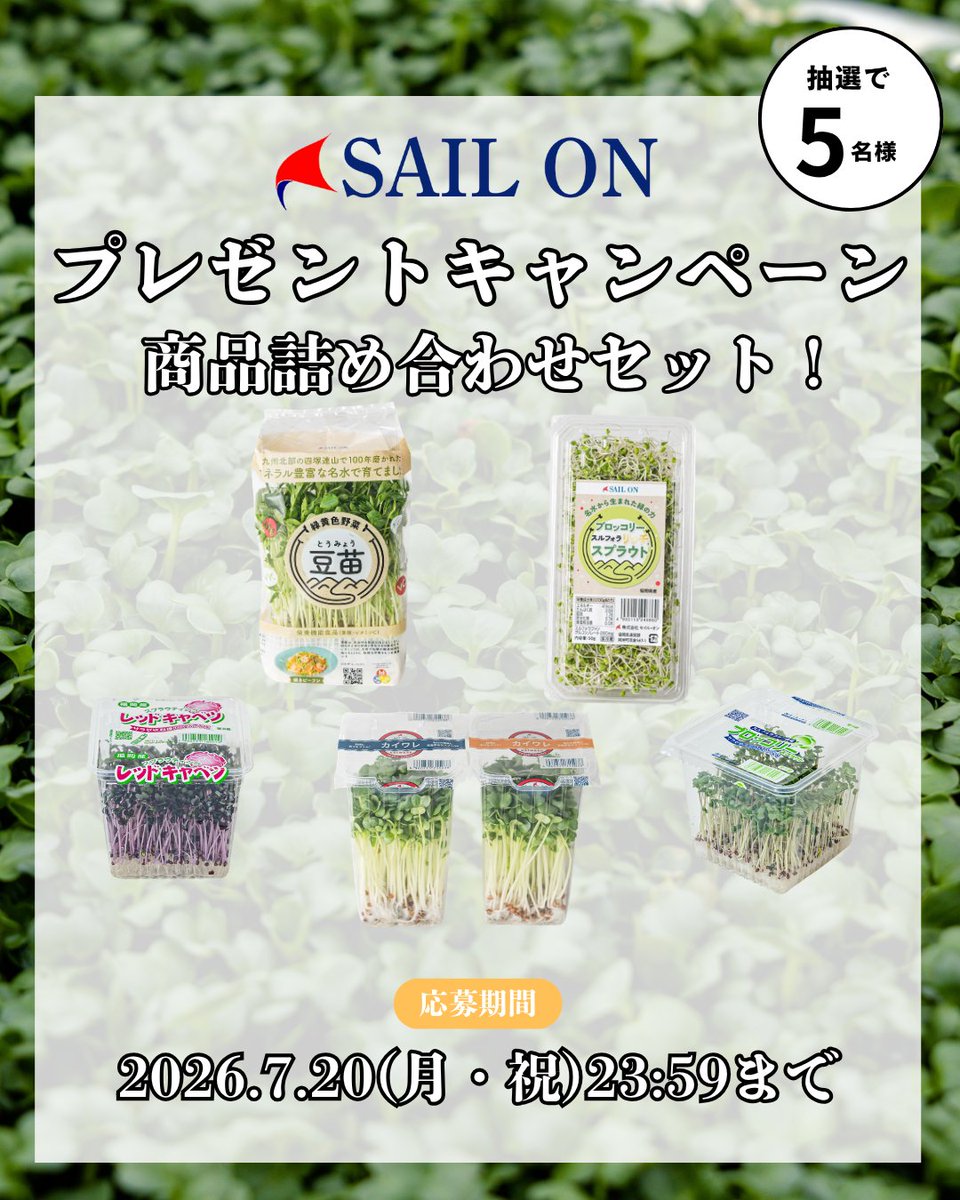 sail_on_sp's tweet photo. 第4回スプラウト プレゼントキャンペーン  忙しい毎日でも美味しい野菜で元気に！ そんな想いで厳選した「詰め合わせセット」を5名様に🎁
▼応募方法  
①@sail_on_spをフォロー 
②7/20(月)迄に本投稿をリポスト✅
③好きな野菜料理をリプで確率UP🍳
一生懸命作った自慢の野菜です🌱
※当選はDM通知😊 https://t.co/ywq3QGT3nh