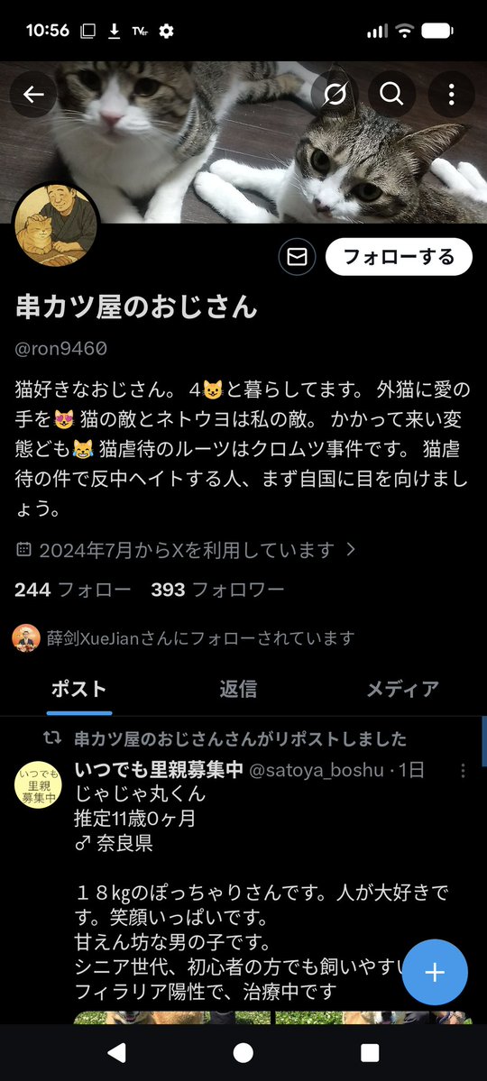 kenji_minemura's tweet photo. 「アヘ」さんは存じ上げませんが中途半端な書き込みしてると薛剣親分にクビ切られますよ！ https://t.co/JJOCnIBXkj