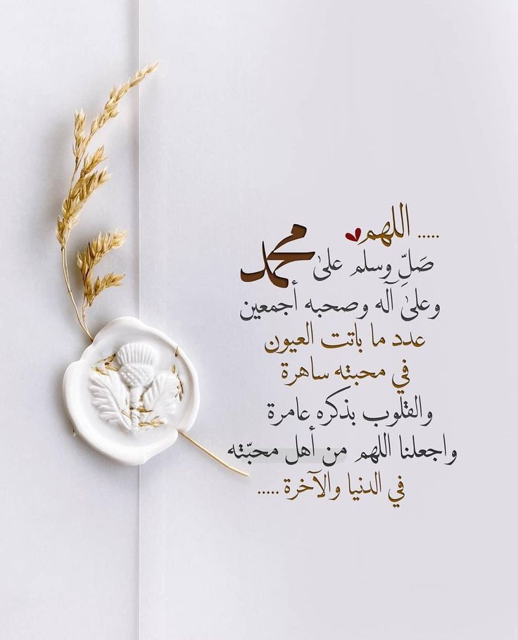 reeb7h's tweet photo. #اللهمّ إنك تعلم عيوبنا فاسترها
وتعلم حاجاتنا فاقضها
وكفى بك ولياً وكفى بك نصيرا
اللهمّ إشف مرضانا ومرضى #المسلمين
#وأرحم موتانا وموتى المسلمين

#صباح_الخير_والسعادة 
#صباح_الخيـر https://t.co/6l49tMSiAt