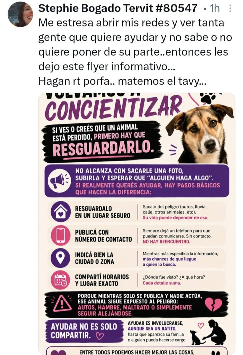 Miravalpy's tweet photo. @perdidospy @patitaperdidas
@mascotitaspy @MarcoHuellasPy
0982 635080 para contacto. Está resguardada por gente que sí cumple con lo que se indica en el Flyer https://t.co/kJ8ZvU4oZv