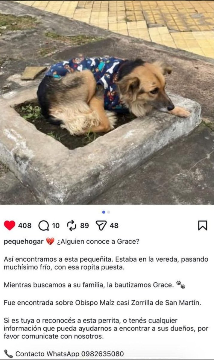 Miravalpy's tweet photo. @perdidospy @patitaperdidas
@mascotitaspy @MarcoHuellasPy
0982 635080 para contacto. Está resguardada por gente que sí cumple con lo que se indica en el Flyer https://t.co/kJ8ZvU4oZv