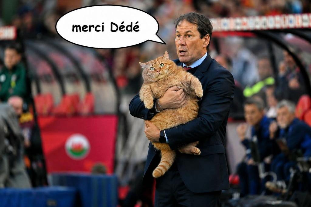 fred2k tweet picture