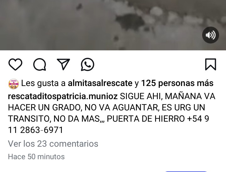 ALEXIANA777's tweet photo. Muerto de frío sin agua ni comida 💔💔😥😥🙏mañana va hacer 1 grado no va aguantar @AmericaTV @soyleomontero @Cronica_ok @CronicaTV @elcampito @OMFA_Refugio @RER_A @paraellostodo @protegealanimal @patri_carolyn https://t.co/1A3copVL93