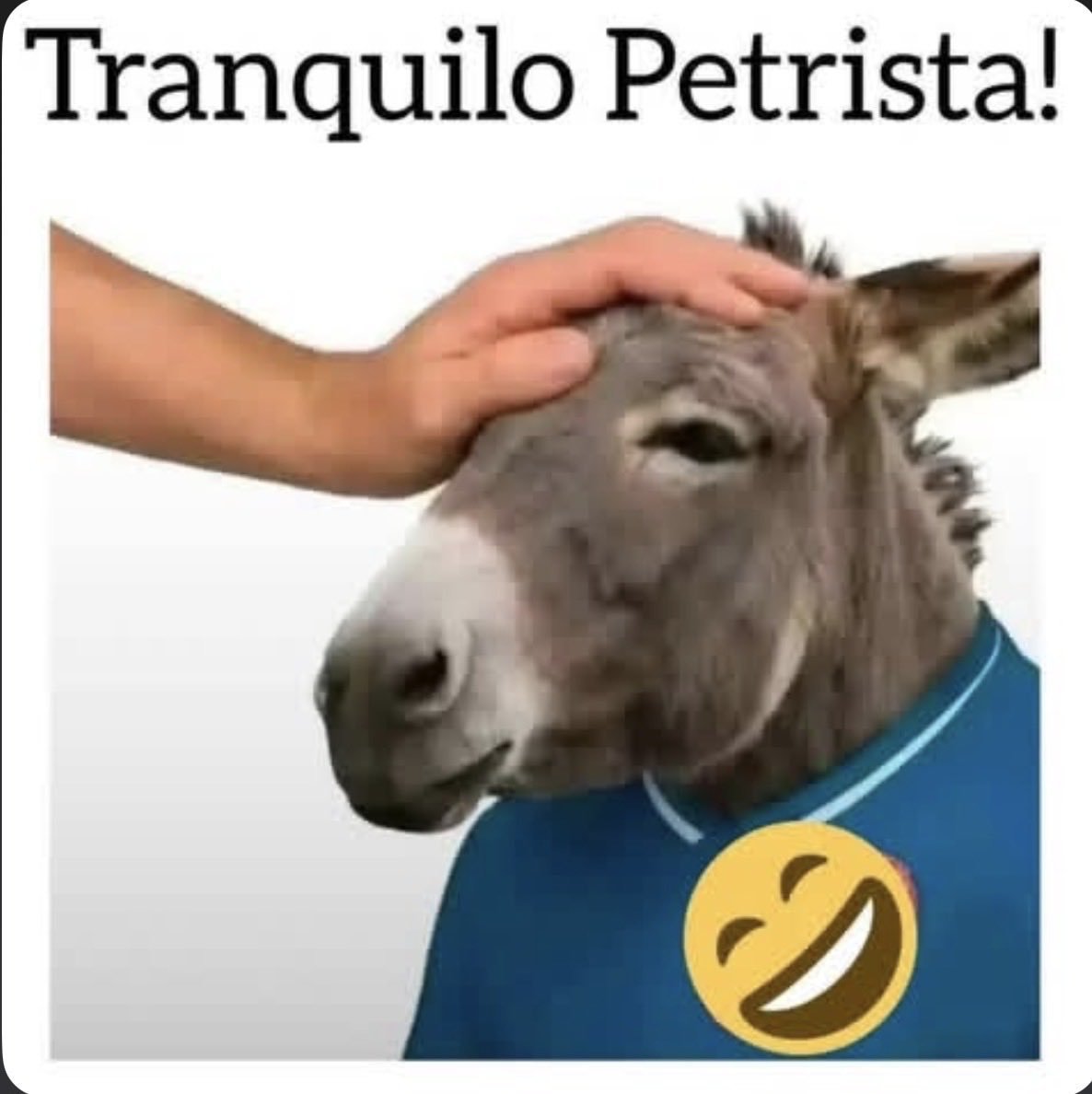 DFORERO's tweet photo. @asampayo https://t.co/u2Ho4kmjsz