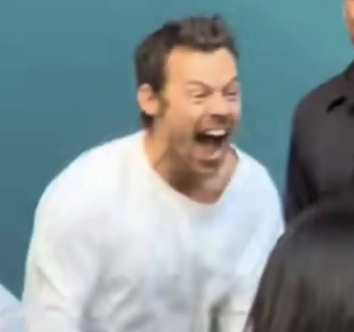 hrrysmullet's tweet photo. new reaction photos just dropped https://t.co/aln3tvd8ns