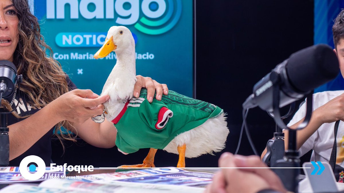 Reporte Índigo tweet media