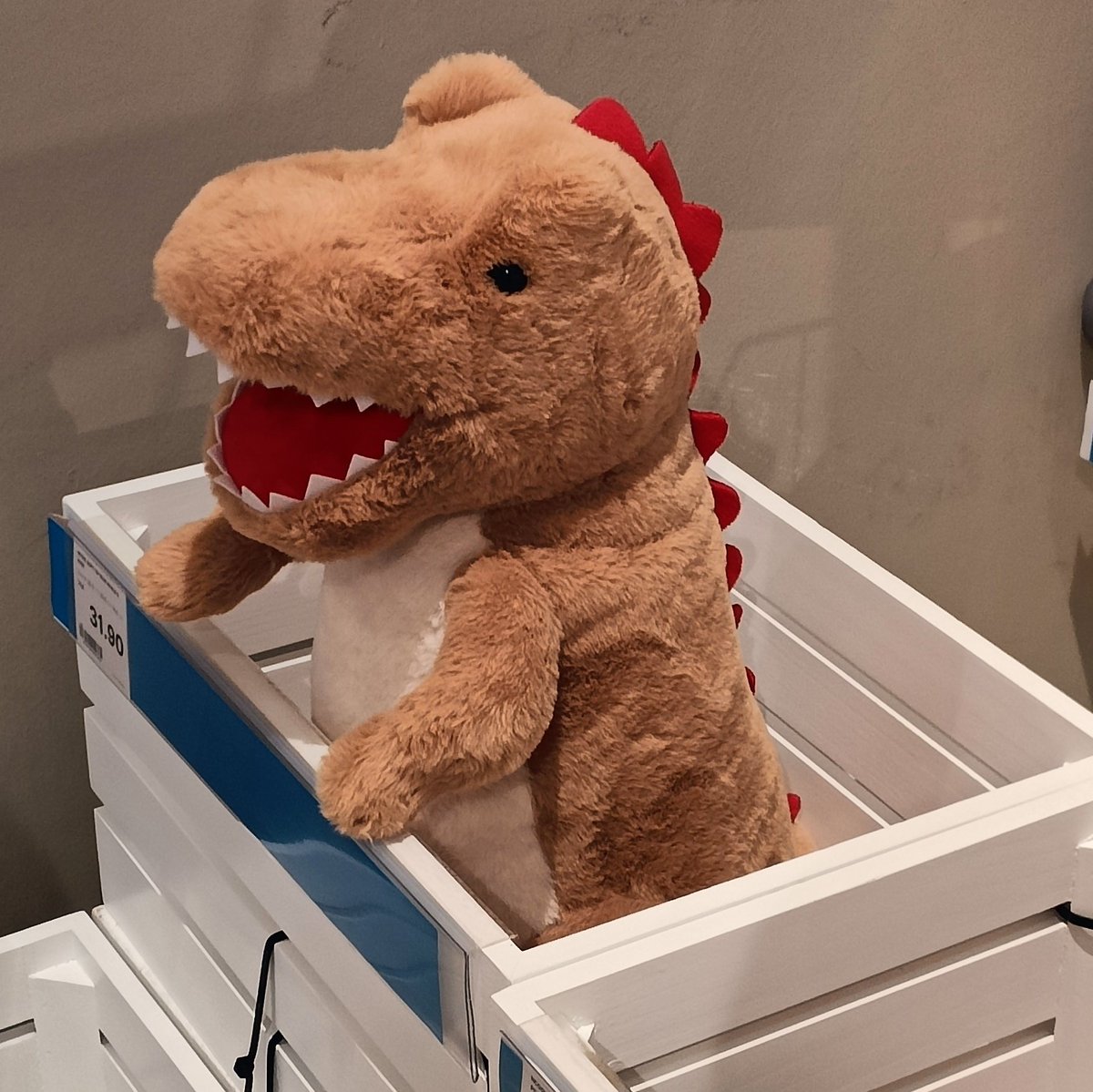 SatsukiMaimo's tweet photo. Saw this at a store...should I buy him? 🤔 https://t.co/tnWKohg3n3