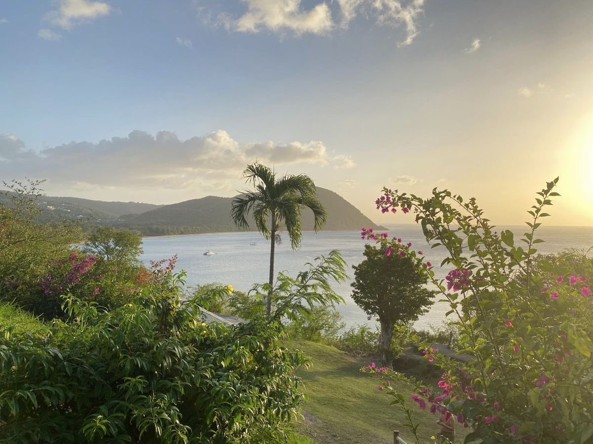ManeeshaSem's tweet photo. i belong in the tropics, surrounded by hibiscus flowers and emerald pools, sipping fresh coconut water, feeling warm and beautiful https://t.co/aeGnaNw36B