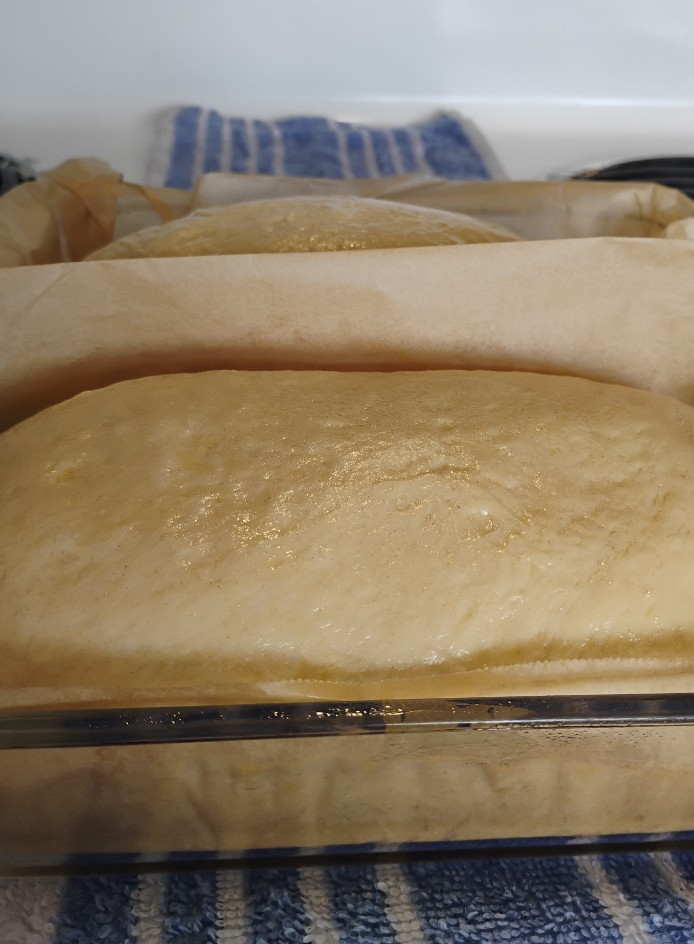 _PaperBeatsRock's tweet photo. Begining the second rise on the Amish bread https://t.co/HTgOFxjqq7