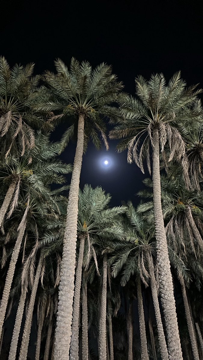 s_cl900's tweet photo. ليالي قصيمية 🤍🖤.. https://t.co/JHAGS4S7IO