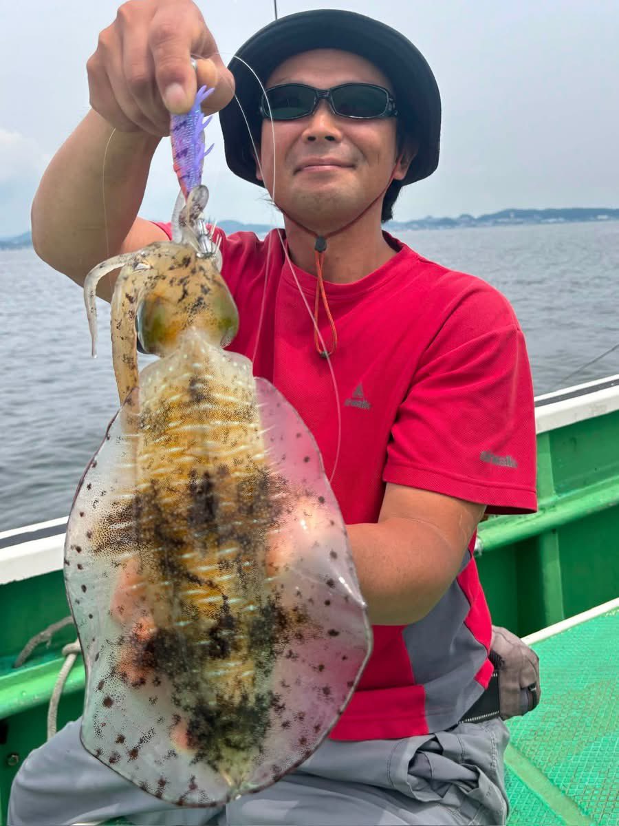 shef_hide's tweet photo. 昨日の🦑ちゃん、潮がコロコロ変わり難しかった😓なんとか1杯😅 https://t.co/xg4Um0qFwH