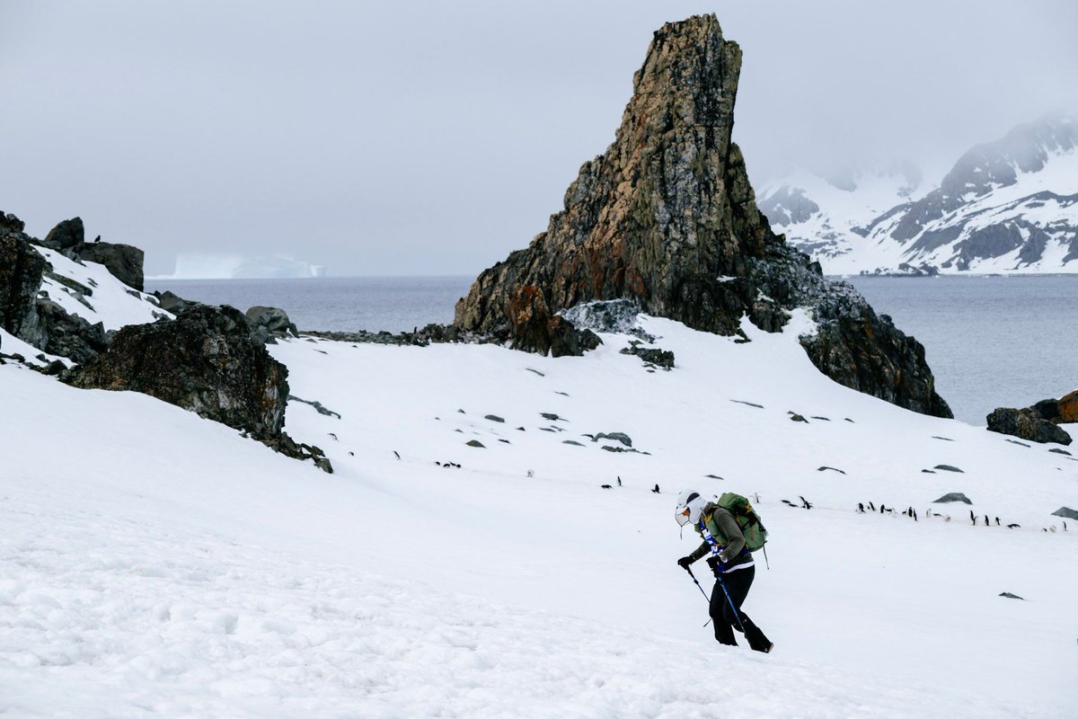 racingtheplanet's tweet photo. Not wanting to gate keep one of the world's most beautiful places, anyone can visit Antarctica, regardless of invite to The Last Desert via the Antarctica Ultramarathon, UltraLite (Antarctica) or the Friends and Family Experience. 
The fun begins 13 November 2026. https://t.co/7B8hTzSnVF