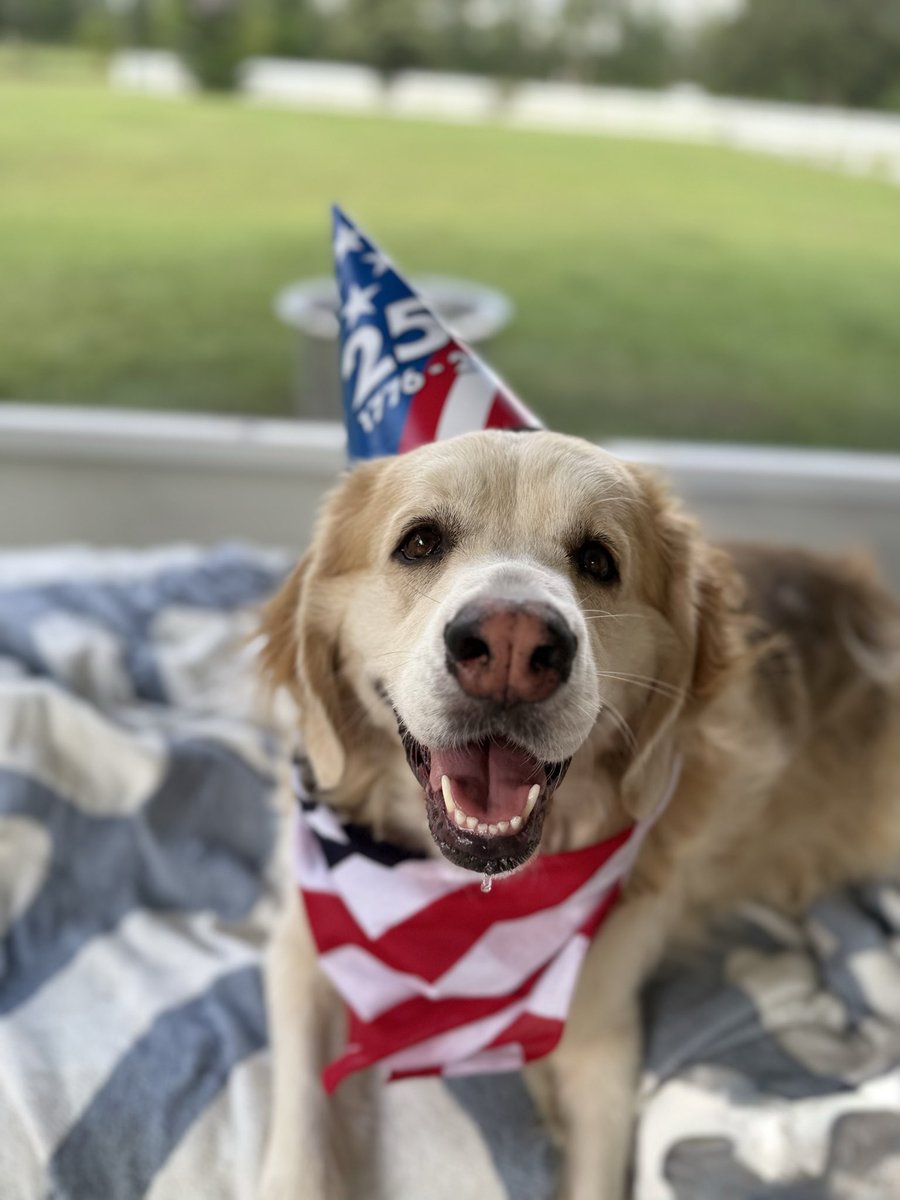 catturd2's tweet photo. Monkey says / happy early 250th. 

God bless America. 

The greatest country on earth. https://t.co/4amVljmJwA
