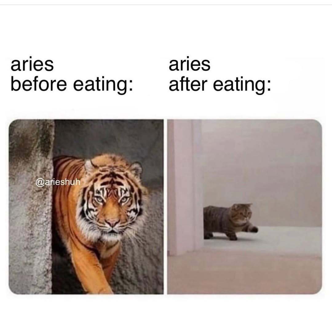 ariesalwayss's tweet photo. i dun mean it. im just hangry lol https://t.co/TAML0Tp6gm