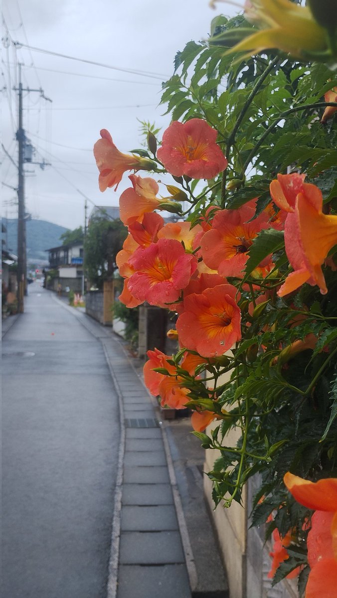 uruuuoooo's tweet photo. 6月ふりかえり

ちょっと届かなかったワールドカップベスト１６⚽
ちょっと届かなかった400km。

あいかわらずポイント練からは足が遠のき、ジョグとトレイルがメイン。

モチベーションは上がらないけど、楽しく走れたことがよかった(^^) https://t.co/IoaO47qwNN