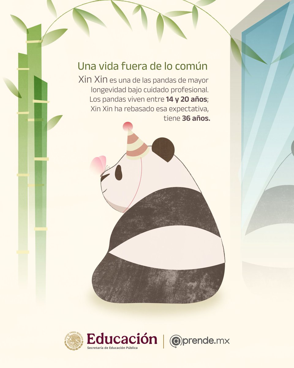 aprende_mx tweet picture