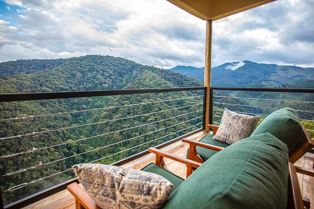 burunga_lodge's tweet photo. This is among the best views you will ever find 
wouldn't you agree ?
#bwindi
#visituganda
#bestviews
#burungagorillalodge https://t.co/R8QNypIZAf