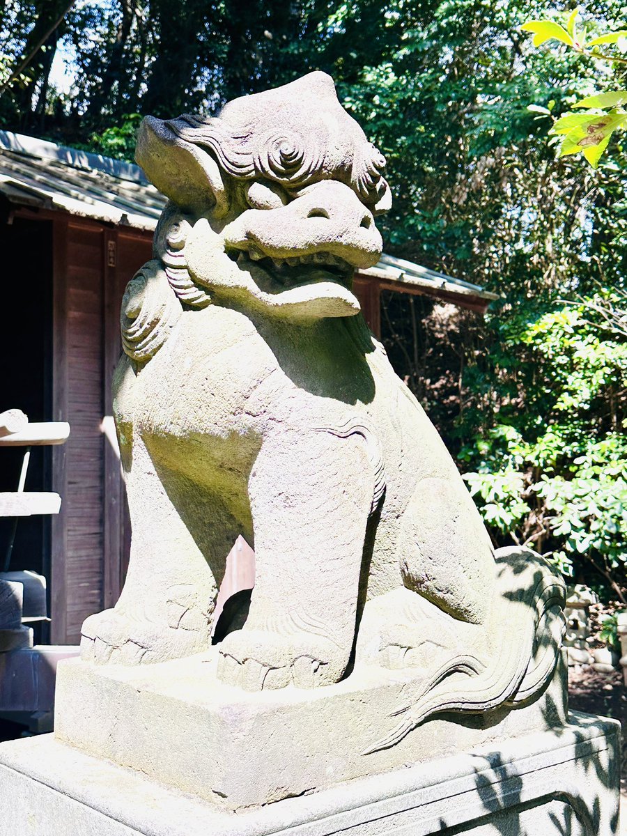 冨塚八幡宮 の #狛犬」A (神奈川県横浜市戸塚区戸塚町3827) 写真を撮り